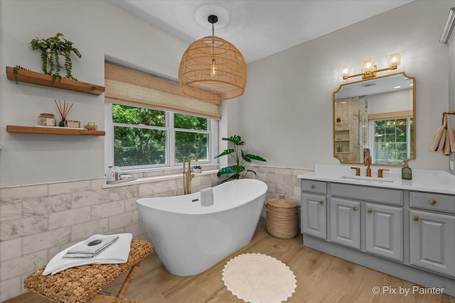 6407 Kingsbridge Dr, Cary, IL 60013 - full bathroom with tile walls, vanity, a freestanding bath, healthy amount of natural light, and a wainscoted wall