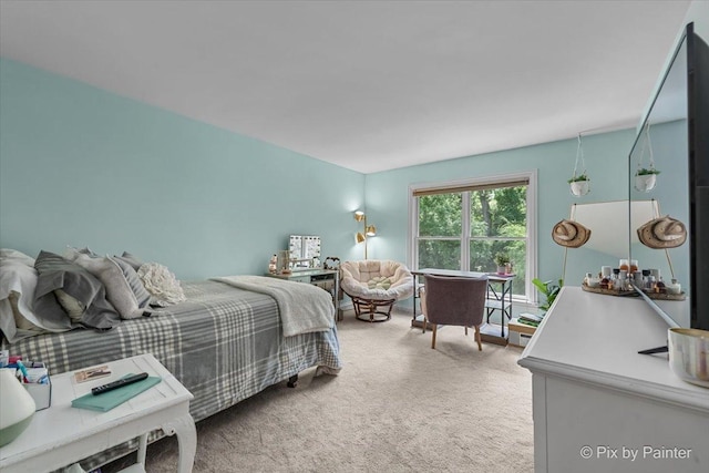 6407 Kingsbridge Dr, Cary, IL 60013 - view of carpeted bedroom