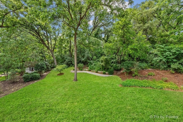 6407 Kingsbridge Dr, Cary, IL 60013 - view of grassy yard