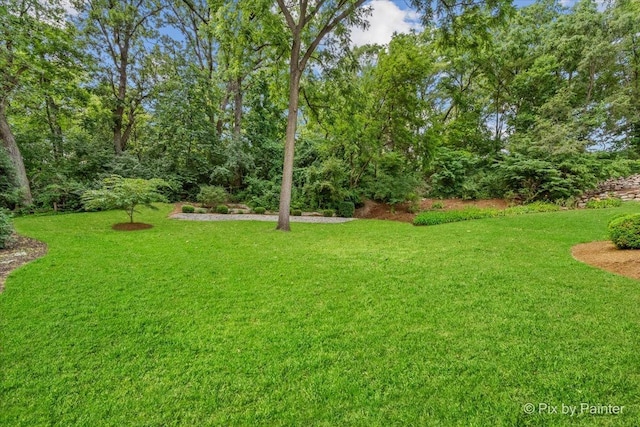 6407 Kingsbridge Dr, Cary, IL 60013 - view of grassy yard