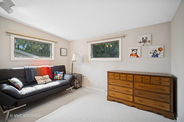 1037 Arbor Ln, Glenview, IL 60025 - living room with carpet and lofted ceiling