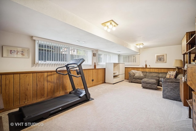 1037 Arbor Ln, Glenview, IL 60025 - exercise room with light colored carpet, wood walls, and a wainscoted wall