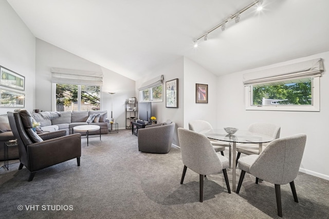 1037 Arbor Ln, Glenview, IL 60025 - carpeted dining area featuring track lighting and high vaulted ceiling