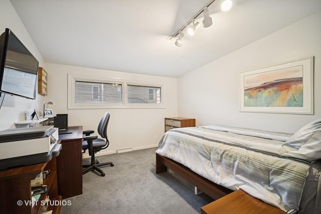 1037 Arbor Ln, Glenview, IL 60025 - carpeted bedroom featuring rail lighting, an office area, and vaulted ceiling