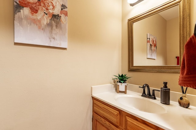 12 White Oak Ct, Algonquin, IL 60102 - bathroom with vanity