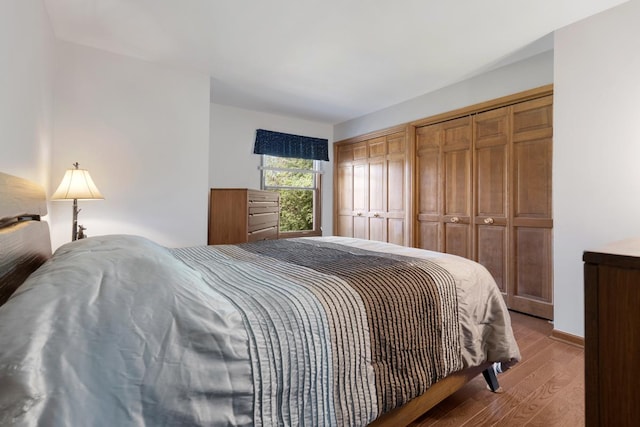 21326 N Elder Ct, Kildeer, IL 60047 - bedroom featuring light wood-style flooring and multiple closets
