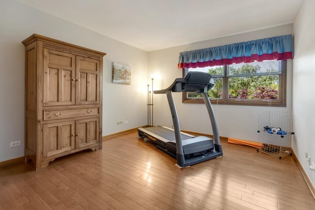 21326 N Elder Ct, Kildeer, IL 60047 - workout area featuring wood finished floors