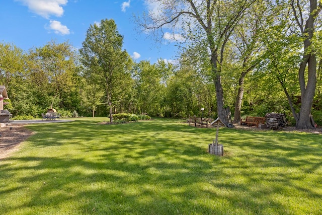 21326 N Elder Ct, Kildeer, IL 60047 - view of grassy yard