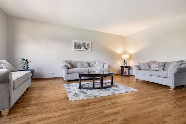 21326 N Elder Ct, Kildeer, IL 60047 - living room with wood finished floors and baseboards