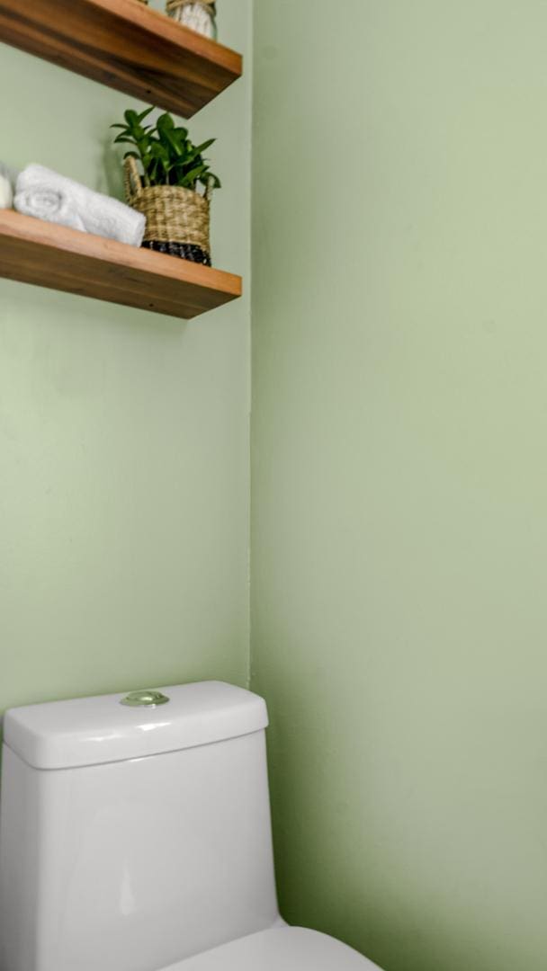 805 S Anderson St, Urbana, IL 61801 - half bathroom with toilet