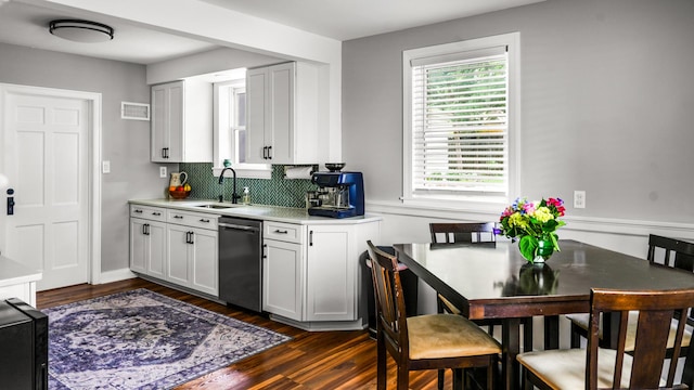 805 S Anderson St, Urbana, IL 61801 - kitchen with stainless steel dishwasher, dark wood finished floors, plenty of natural light, and light countertops
