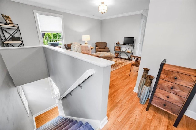 3976 Western Ave, Western Springs, IL 60558 - bedroom featuring light wood-type flooring and crown molding