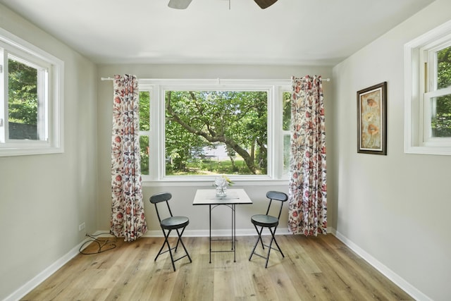 14811 Perry Ave, South Holland, IL 60473 - photo 12
