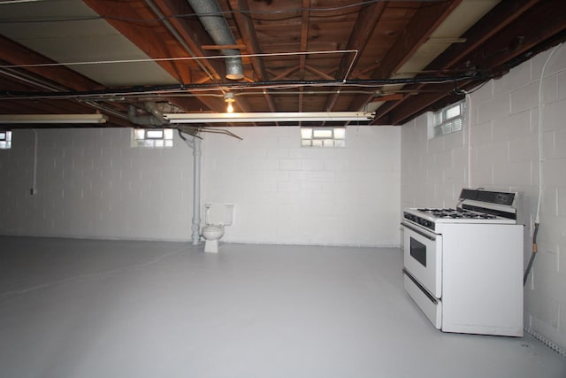328 Dwight Ave, Joliet, IL 60436 - below grade area featuring plenty of natural light