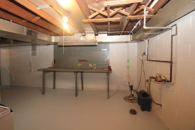 328 Dwight Ave, Joliet, IL 60436 - unfinished below grade area featuring concrete block wall and a water meter
