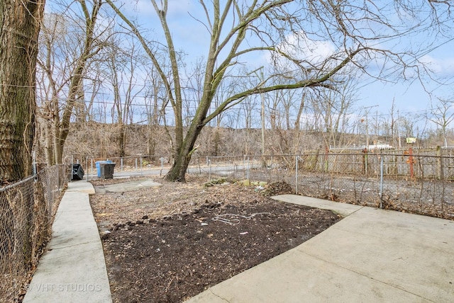 9433 S Burnside Ave, Chicago, IL 60619 - view of yard