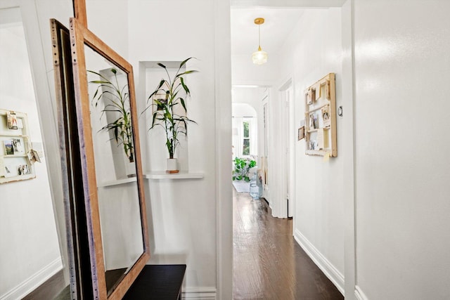 4006 W Wellington Ave Unit 3, Chicago, IL 60641 - corridor with dark wood-type flooring and baseboards