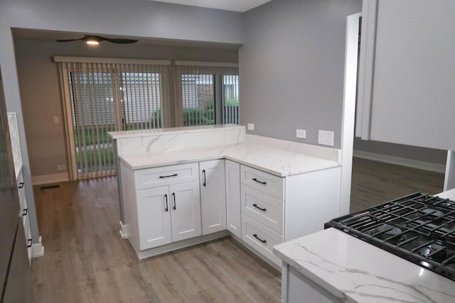 369 Ferndale Ct Unit B1, Schaumburg, IL 60193 - kitchen featuring a peninsula, light wood-type flooring, white cabinetry, and light stone counters