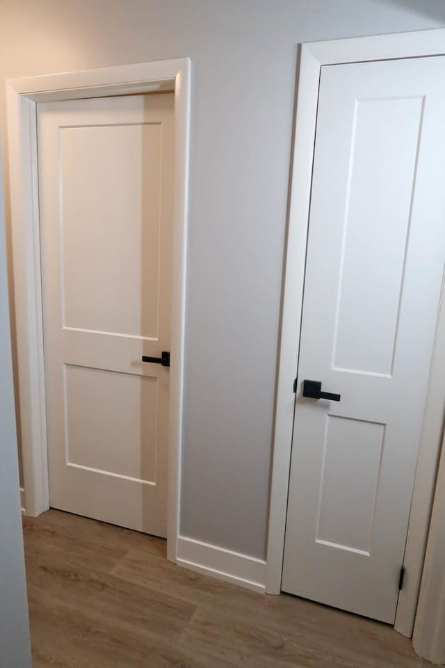369 Ferndale Ct Unit B1, Schaumburg, IL 60193 - view of closet