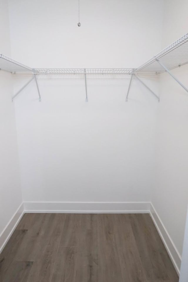 369 Ferndale Ct Unit B1, Schaumburg, IL 60193 - walk in closet featuring dark wood finished floors