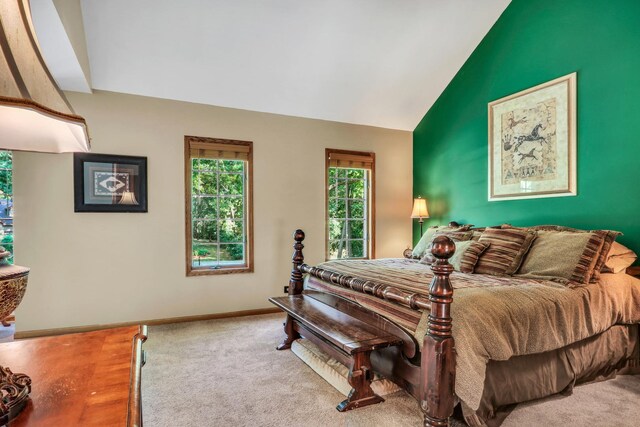 195 Hollow Way, Ingleside, IL 60041 - bedroom with vaulted ceiling and baseboards