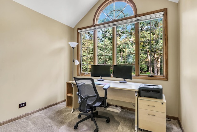 195 Hollow Way, Ingleside, IL 60041 - office area featuring vaulted ceiling and carpet