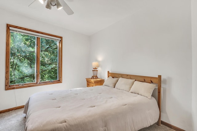 195 Hollow Way, Ingleside, IL 60041 - bedroom with carpet floors and a ceiling fan