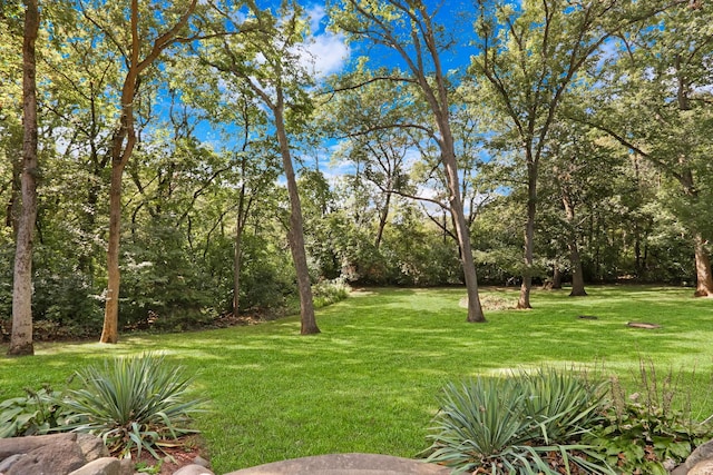 195 Hollow Way, Ingleside, IL 60041 - view of grassy yard