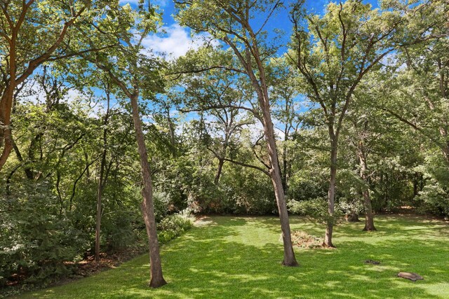 195 Hollow Way, Ingleside, IL 60041 - view of green lawn