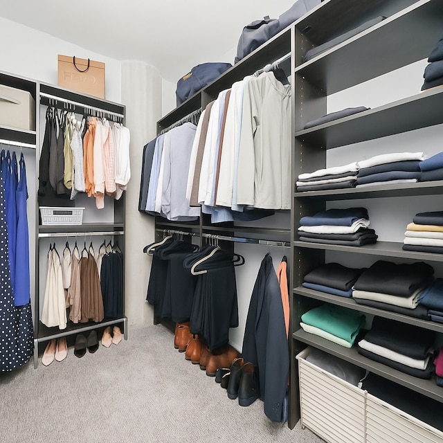 860 W Blackhawk St Unit 2106, Chicago, IL 60642 - walk in closet with carpet floors