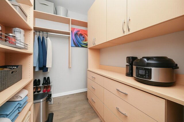 860 W Blackhawk St Unit 2106, Chicago, IL 60642 - view of walk in closet