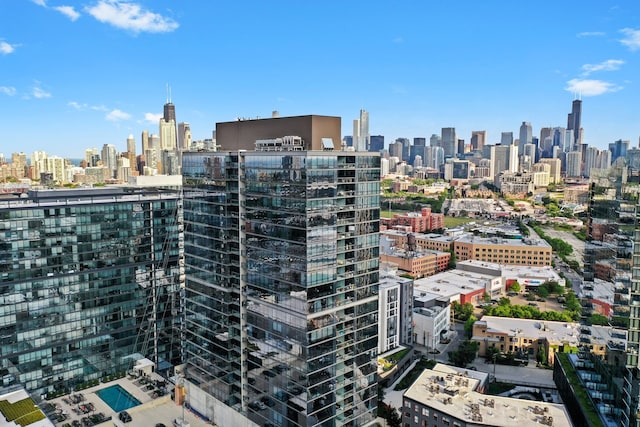 860 W Blackhawk St Unit 2106, Chicago, IL 60642 - view of city skyline