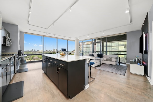 860 W Blackhawk St Unit 2106, Chicago, IL 60642 - kitchen with rail lighting, a kitchen island, a city view, light wood-style floors, and open floor plan