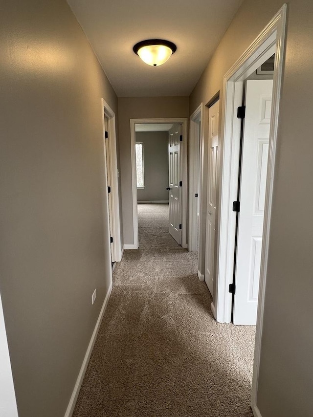 26518 W Deer Path, Channahon, IL 60410 - corridor featuring carpet and baseboards