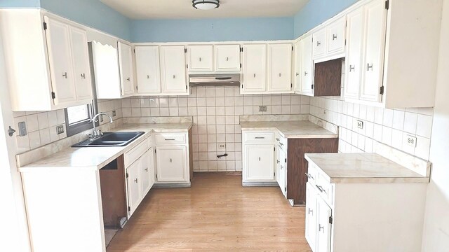 8543 Carriage Ln, Tinley Park, IL 60487 - kitchen with under cabinet range hood, light wood-style flooring, tasteful backsplash, and white cabinetry