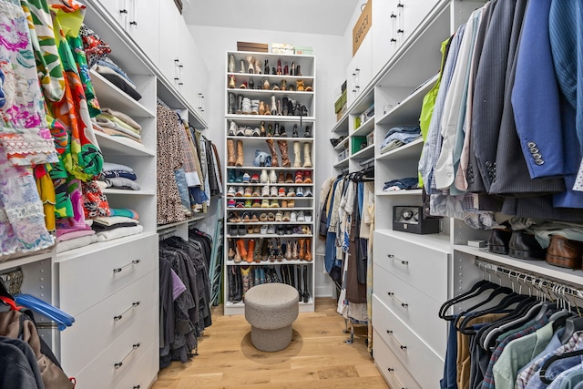5401 Carpenter St, Downers Grove, IL 60515 - walk in closet with light wood-style flooring