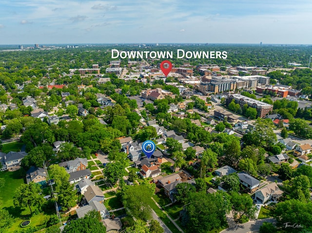 5401 Carpenter St, Downers Grove, IL 60515 - drone / aerial view