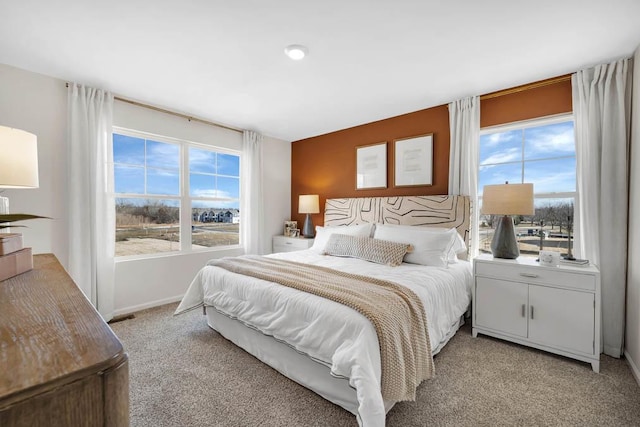 442 Lakeshore Ct, Saint Charles, IL 60174 - bedroom featuring light carpet and multiple windows