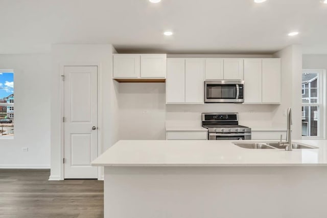 442 Lakeshore Ct, Saint Charles, IL 60174 - kitchen with stainless steel appliances, white cabinets, wood finished floors, light countertops, and recessed lighting