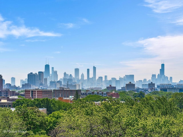 1100 W Montrose Ave Unit 207, Chicago, IL 60613 - skyline view