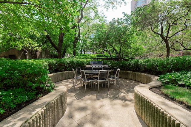 10 E Ontario St Unit 1311, Chicago, IL 60611 - photo 36