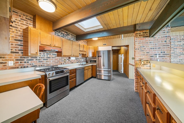 309 Holiday Dr, Lake Holiday, IL 60552 - kitchen featuring appliances with stainless steel finishes, a skylight, carpet flooring, light countertops, and under cabinet range hood