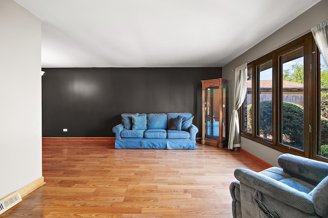 22939 E Dr, Richton Park, IL 60471 - living room featuring light wood-style floors