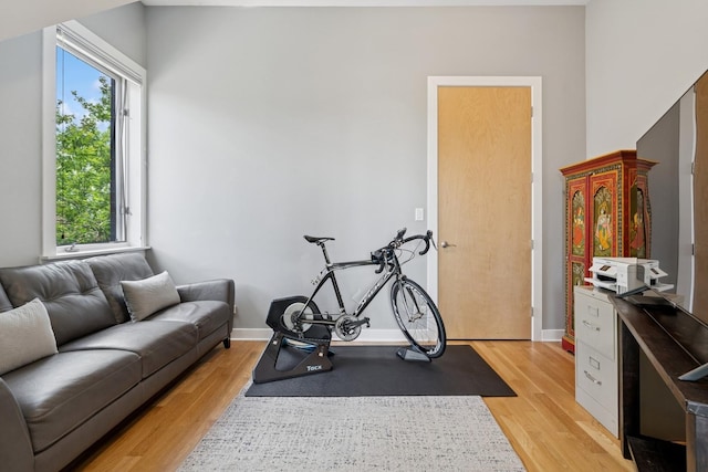2047 N Leavitt St Unit 2N, Chicago, IL 60647 - workout room with light wood-style floors and plenty of natural light