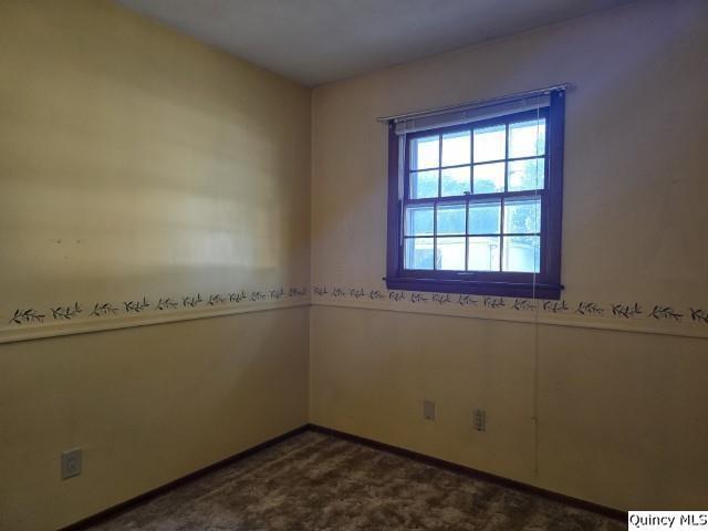 707 Country Ln, Carthage, IL 62321 - photo 14