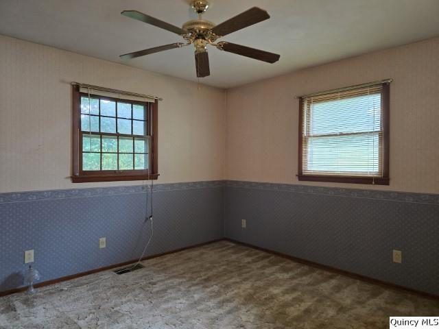 707 Country Ln, Carthage, IL 62321 - photo 17