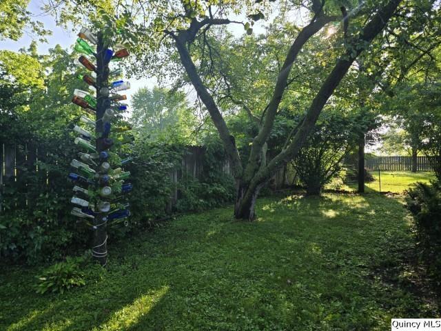 707 Country Ln, Carthage, IL 62321 - photo 26