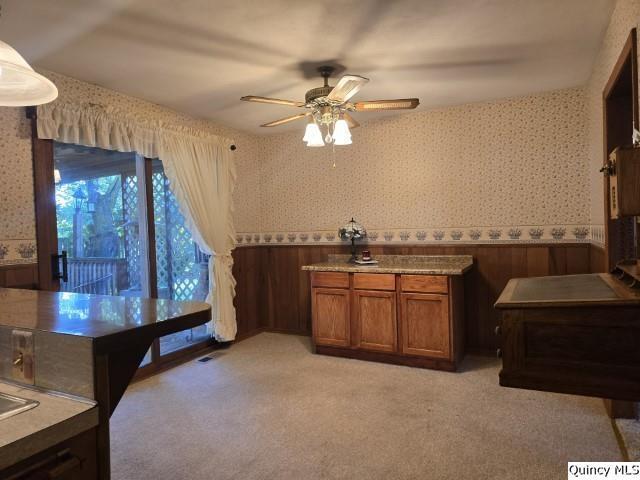 707 Country Ln, Carthage, IL 62321 - photo 4