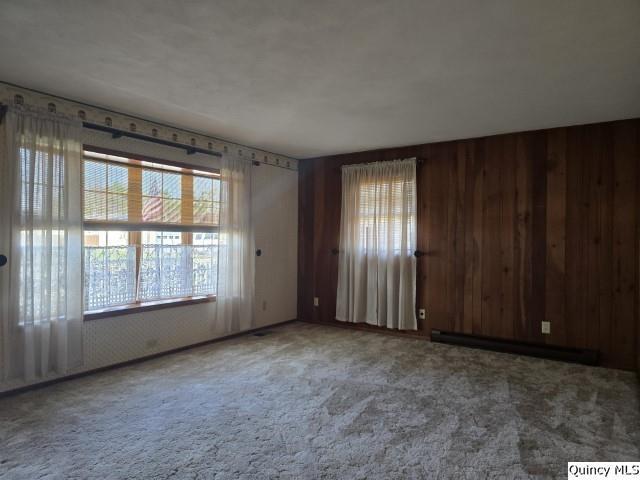 707 Country Ln, Carthage, IL 62321 - photo 9