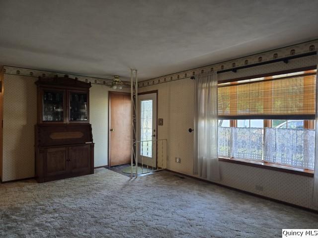 707 Country Ln, Carthage, IL 62321 - photo 10